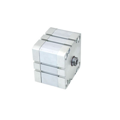 ปลาไส้กรอกแบบยืดหยุ่นแบบ Festo DNA-100-10/15/20/25/30/40/50/60/80-I-P-A