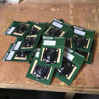 Goyen RCAC20 คิตบํารุงรักษา ประเภท K2034 ซีรีส์ T4, ST4, DD4, FS4 วัสดุไนทรีล