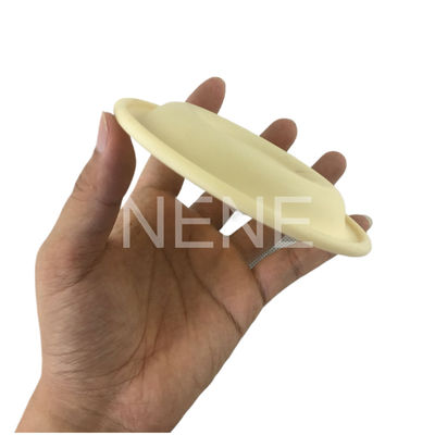 3/4" นิ้ว 93465 93111 DN20 อินเกอร์โซล แรนด์ ปั๊ม Diaphragms ซานโตเพรน / PTFE คิตซ่อม Diaphragm PD07P-APS-PAA PD07P-APS-PTT