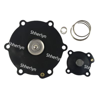 ชุดซ่อมไดอะแฟรม Mecair ขนาด 2 นิ้ว DB116 DB16 VNP216 VEM216 VNP316 VITON ปรับแต่งได้