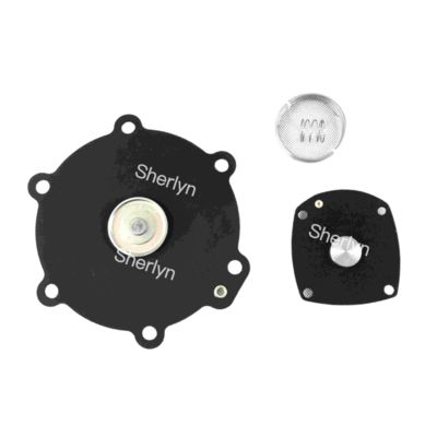 ชุดซ่อมไดอะแฟรม M50 เทอร์โบ 2" DN50 FP55 FM55 SQP50 SQM60