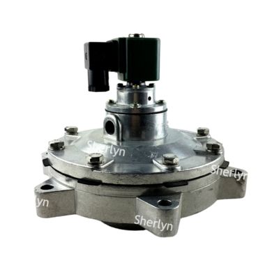 วาล์วพัลส์แบบจุ่ม DMF-Y-62S ขนาด 2.5 นิ้ว สำหรับถุงกรอง BFEC พร้อมวาล์วพัลส์แม่เหล็กไฟฟ้า