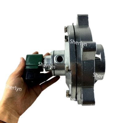 วาล์วพัลส์แบบจุ่ม DMF-Y-62S ขนาด 2.5 นิ้ว สำหรับถุงกรอง BFEC พร้อมวาล์วพัลส์แม่เหล็กไฟฟ้า