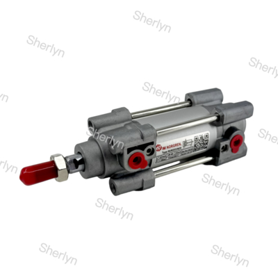 ISO 15552 นอร์เกรน ซิลินเดอร์ RA/802032/M/75 ซิลินเดอร์ทํางานสองครั้ง