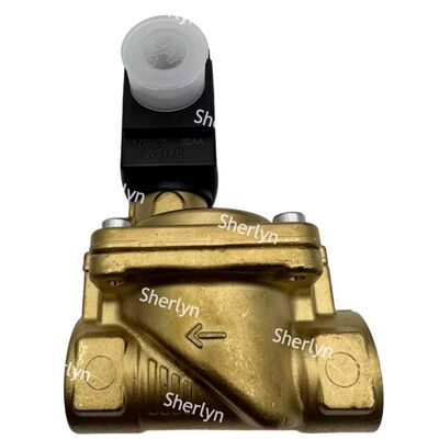 6281 Burkert Electron Magnetic Valve 00221931 G3/4 2/2 เปิดปกติ AC24V