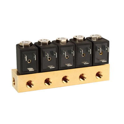 1/4' Port Size Pneumatic Solenoid Valve 1913BB302 การทํางานโดยตรงที่มีวัสดุ FKM Seal 2/2 Way เปิดปกติ