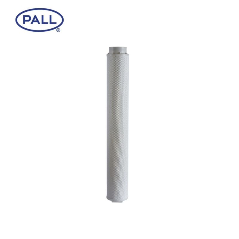 HC6300FCZ26Z PALL อุปกรณ์กรองความแม่นยํา s ด้วยผนึกยางฟลอริน