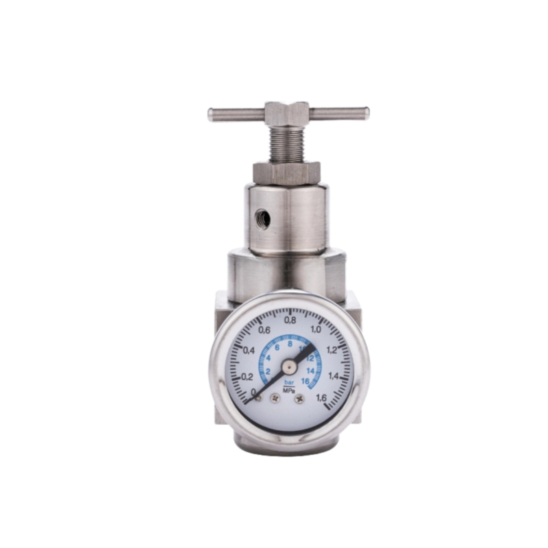SR400 3/8 ผงขนาดกรองปนูมาติก กําหนดการกรองน้ํามันสแตนเลส